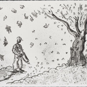 turbulence automnale